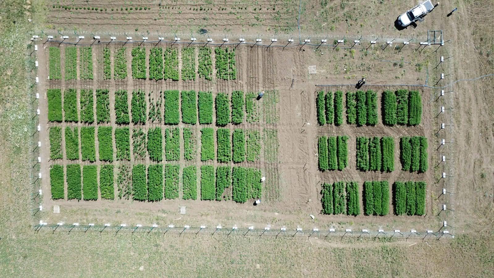 Farming Image 10