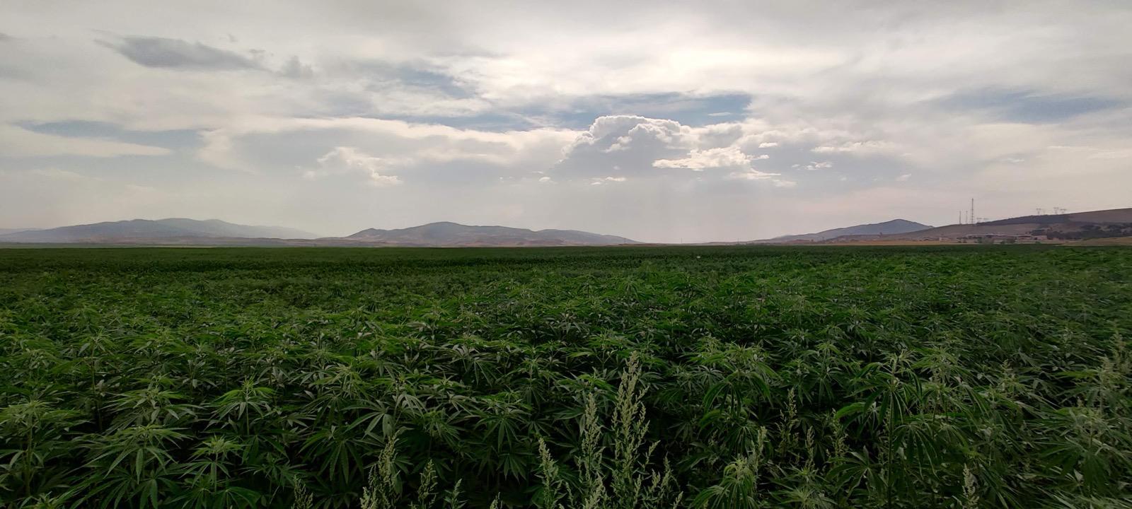 Farming Image 5