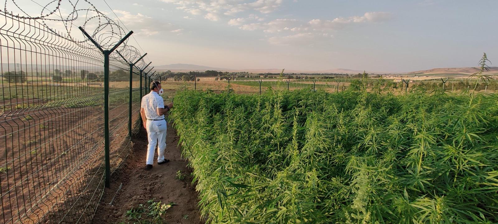Farming Image 7